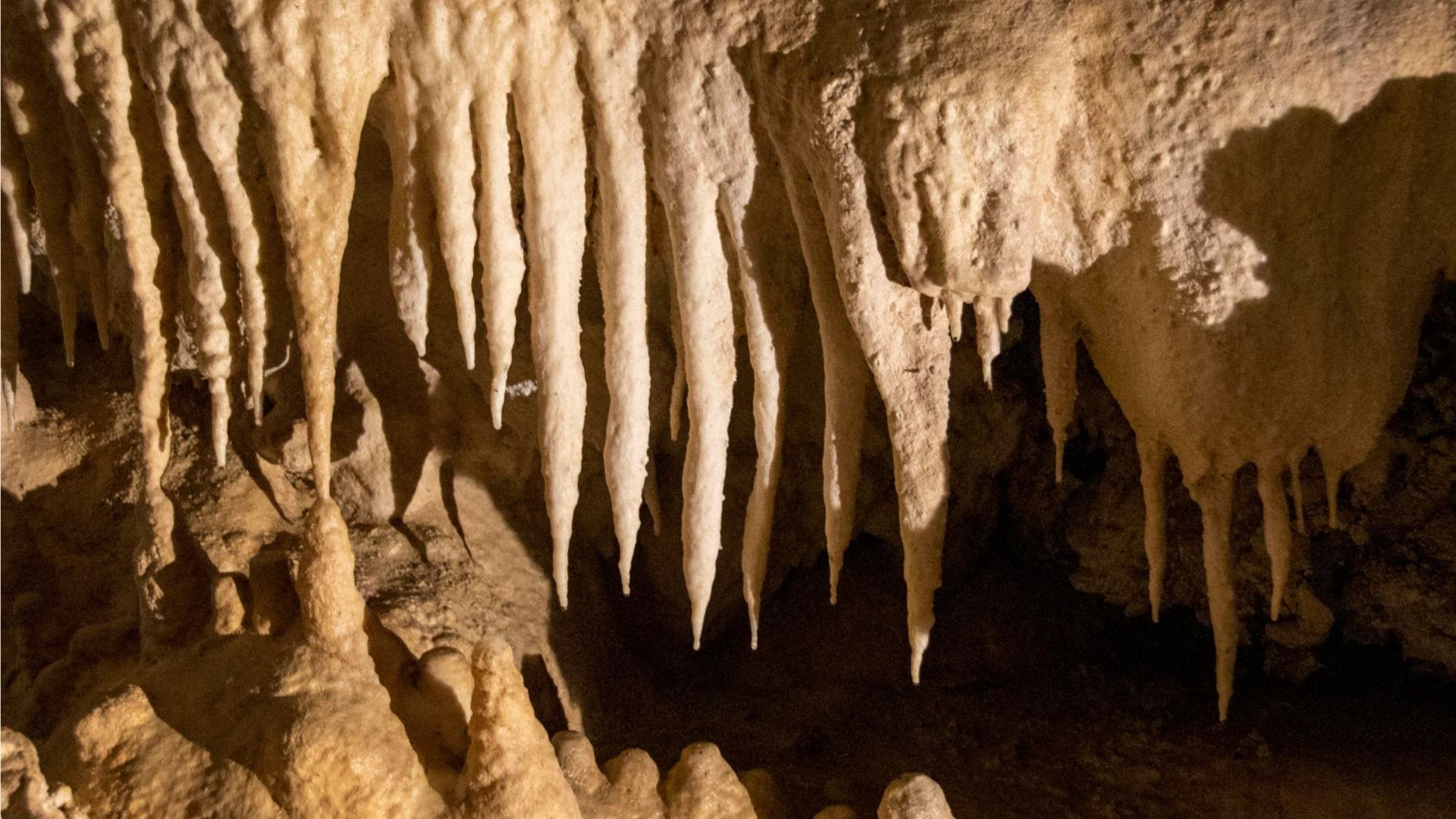 A person is standing in a cave with a lot of icicles hanging from the ceiling.