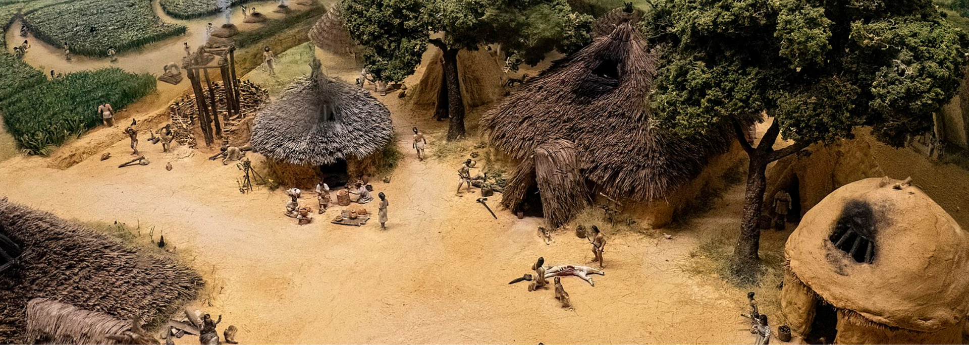 Picture of a Stone Age village. Picture of a Stone Age village.