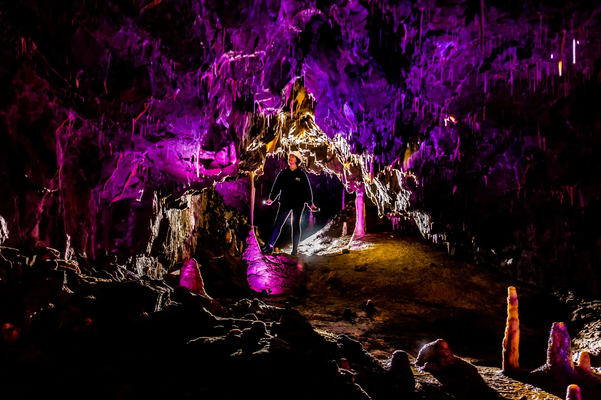 A person is walking through a tunnel filled with purple lights.