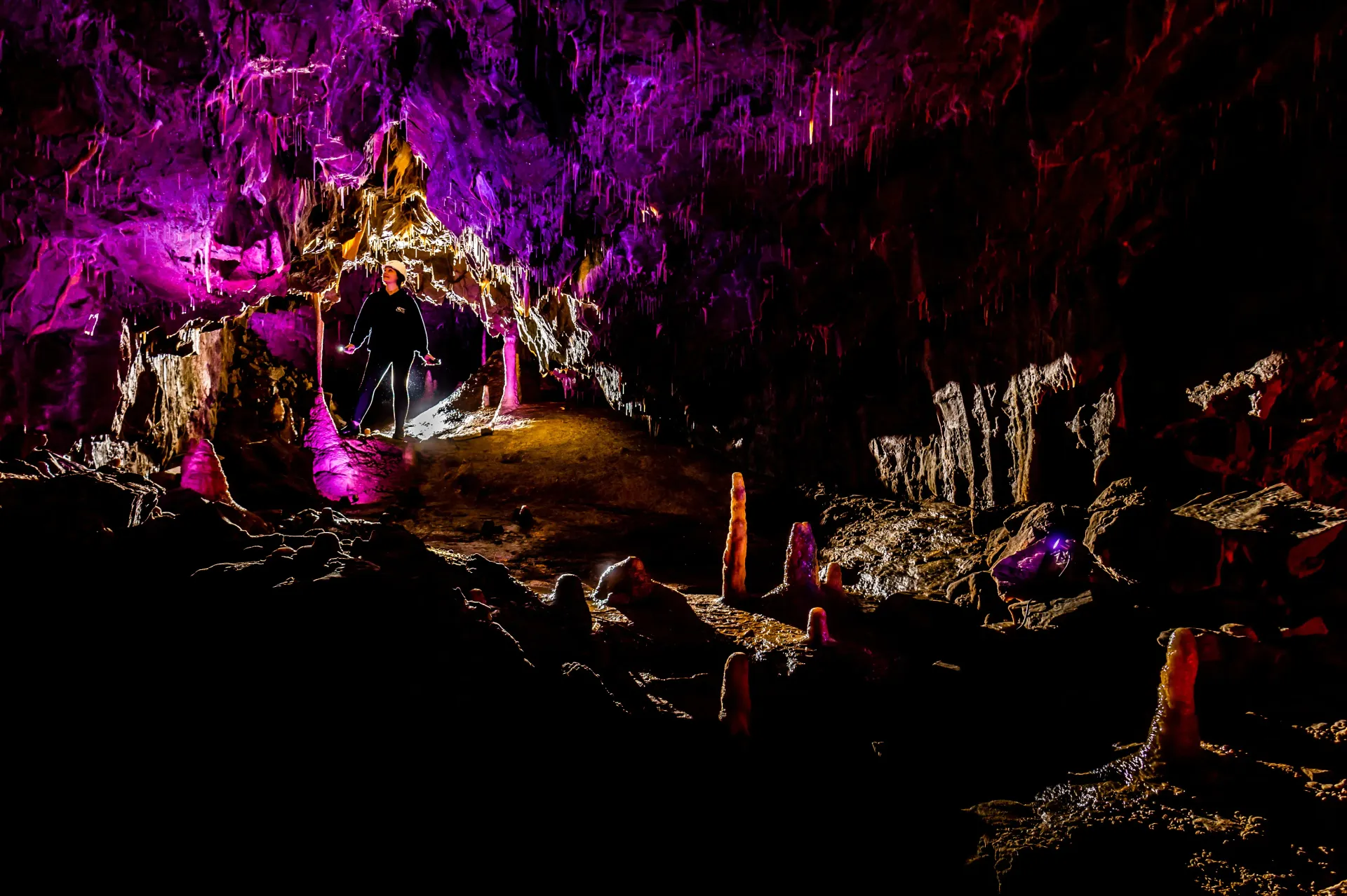 A dark cave filled with purple lights at night.