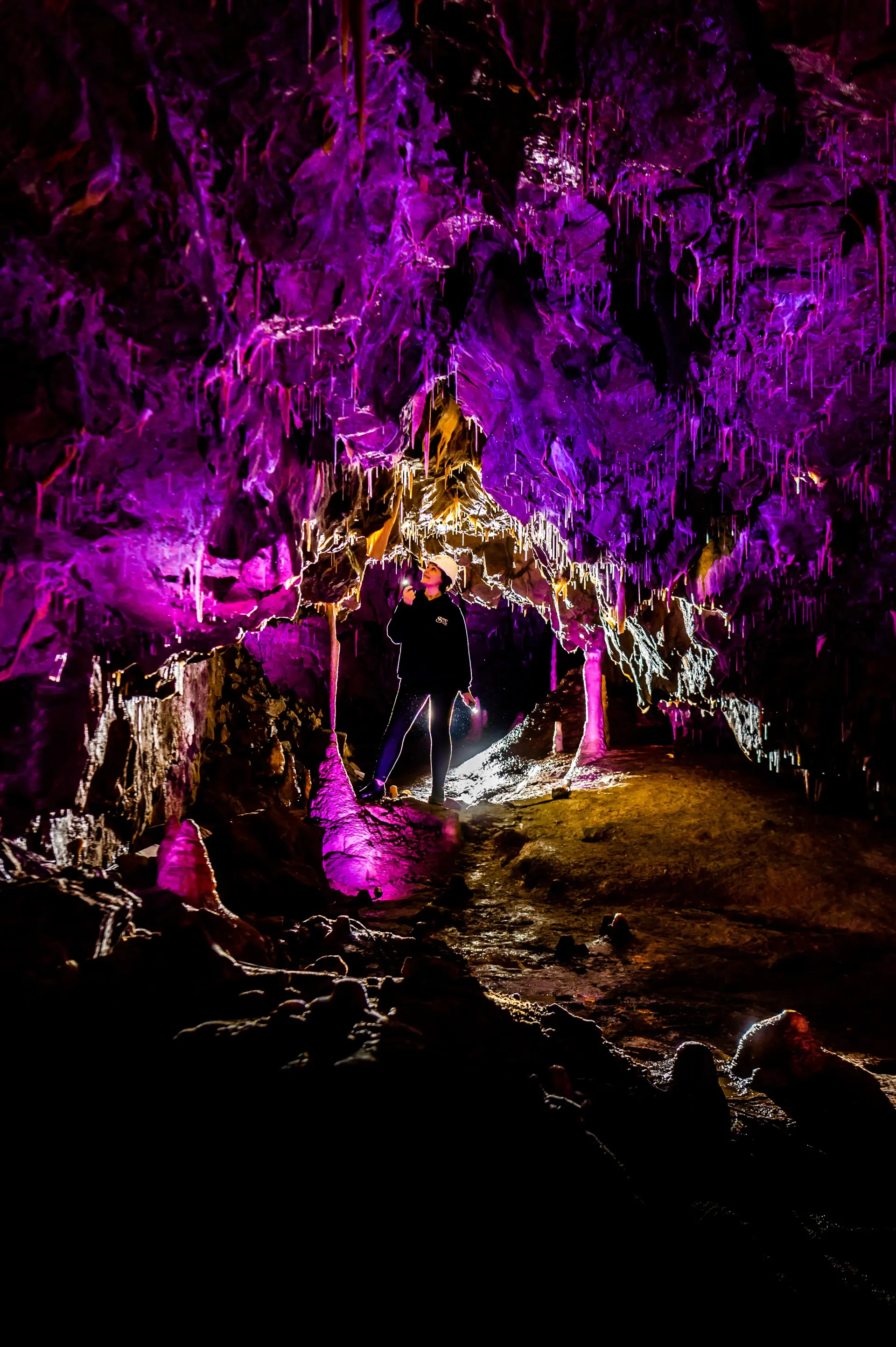 A cave filled with purple lights at night.
