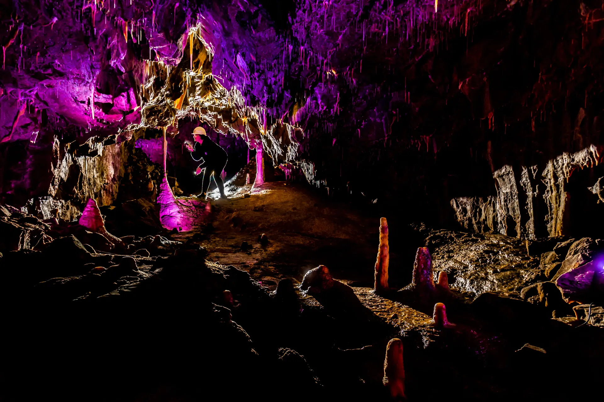 A dark cave filled with purple lights and trees.