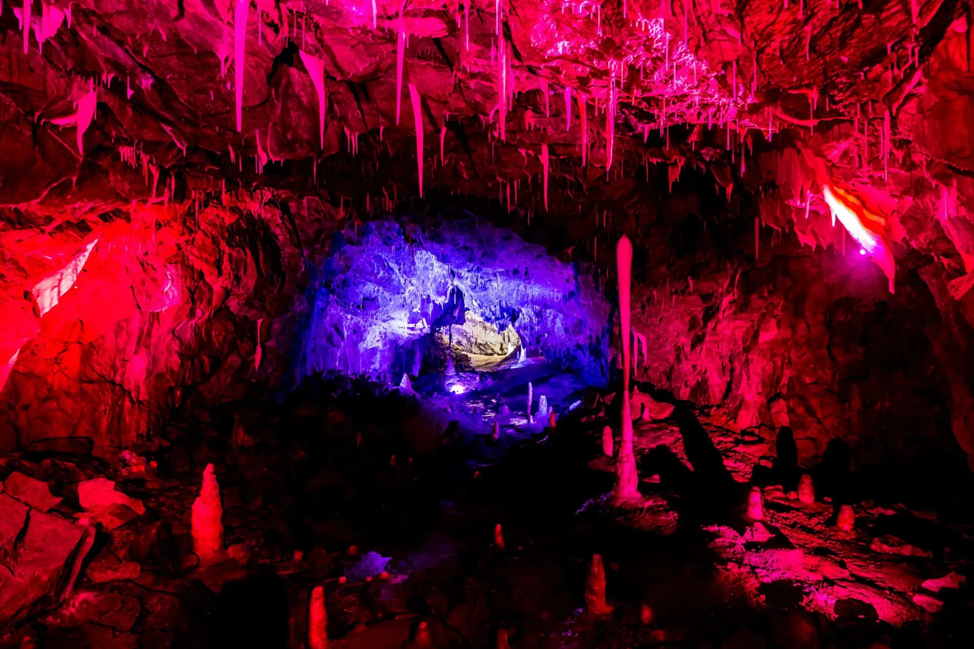A cave filled with red and purple lights and icicles.