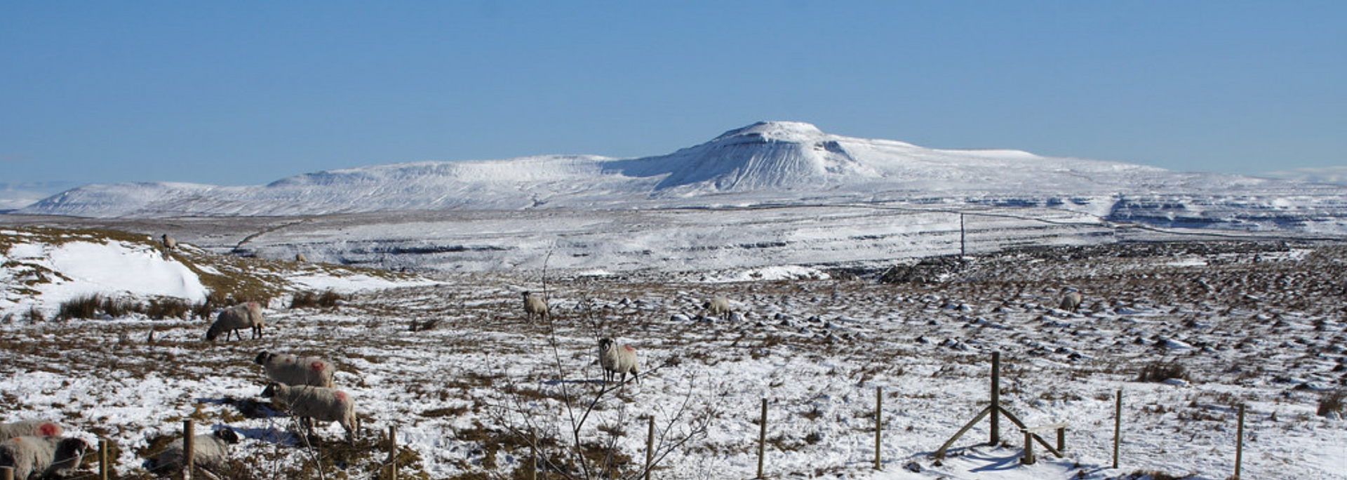 Picture of The Three Peaks.