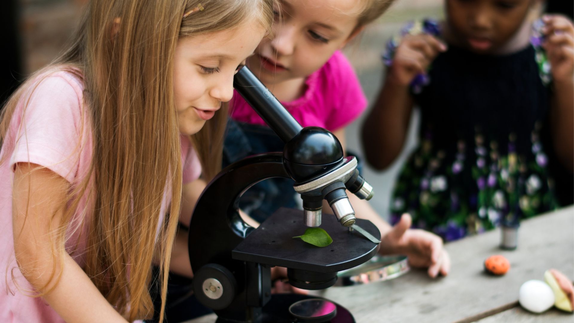 Join us as we explore 7 fantastic science activities for preschoolers that are fun, hands-on 