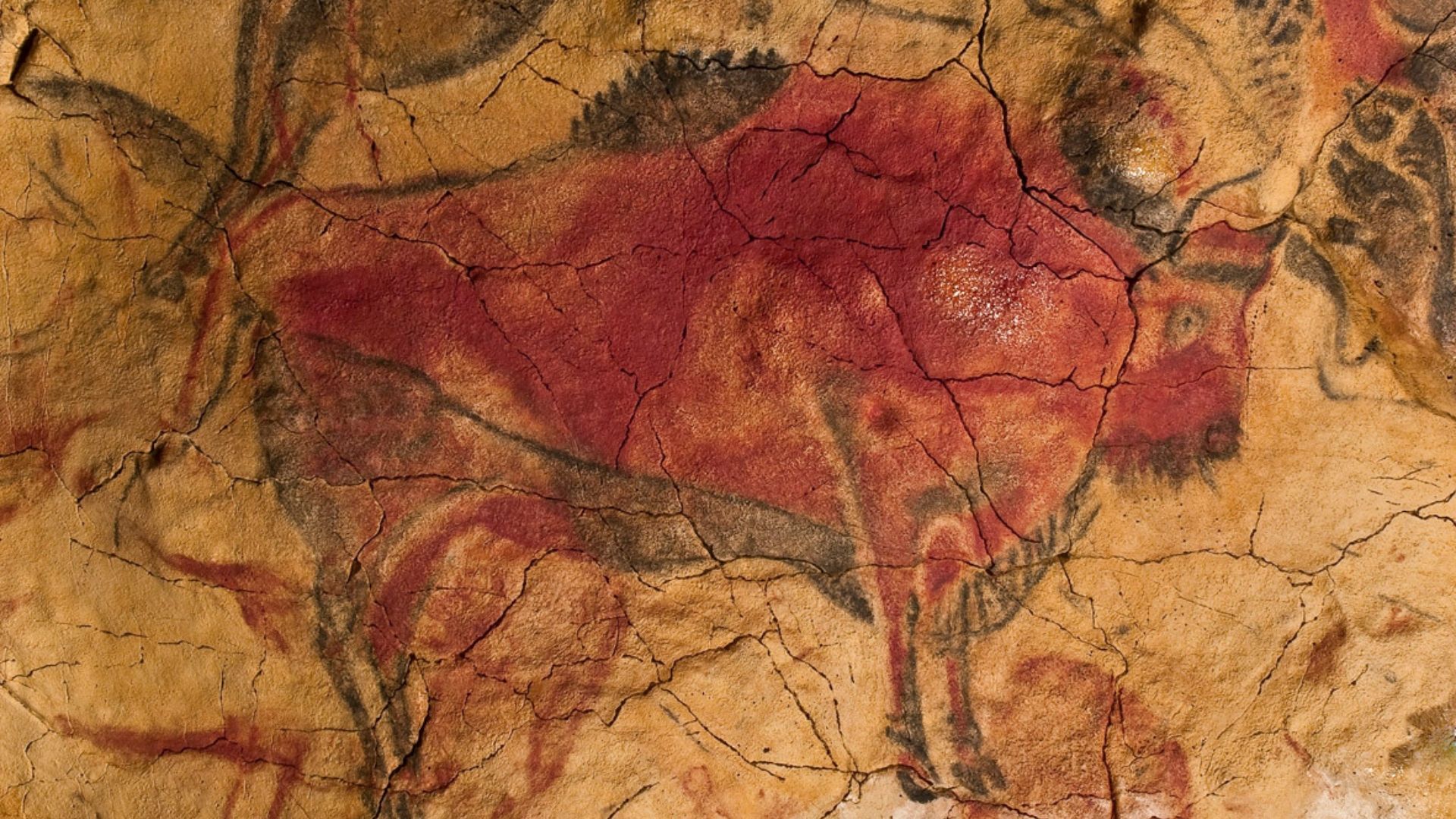 Scientists have discovered the world's oldest cave art in Indonesia. Learn what it says about our ancient past.
