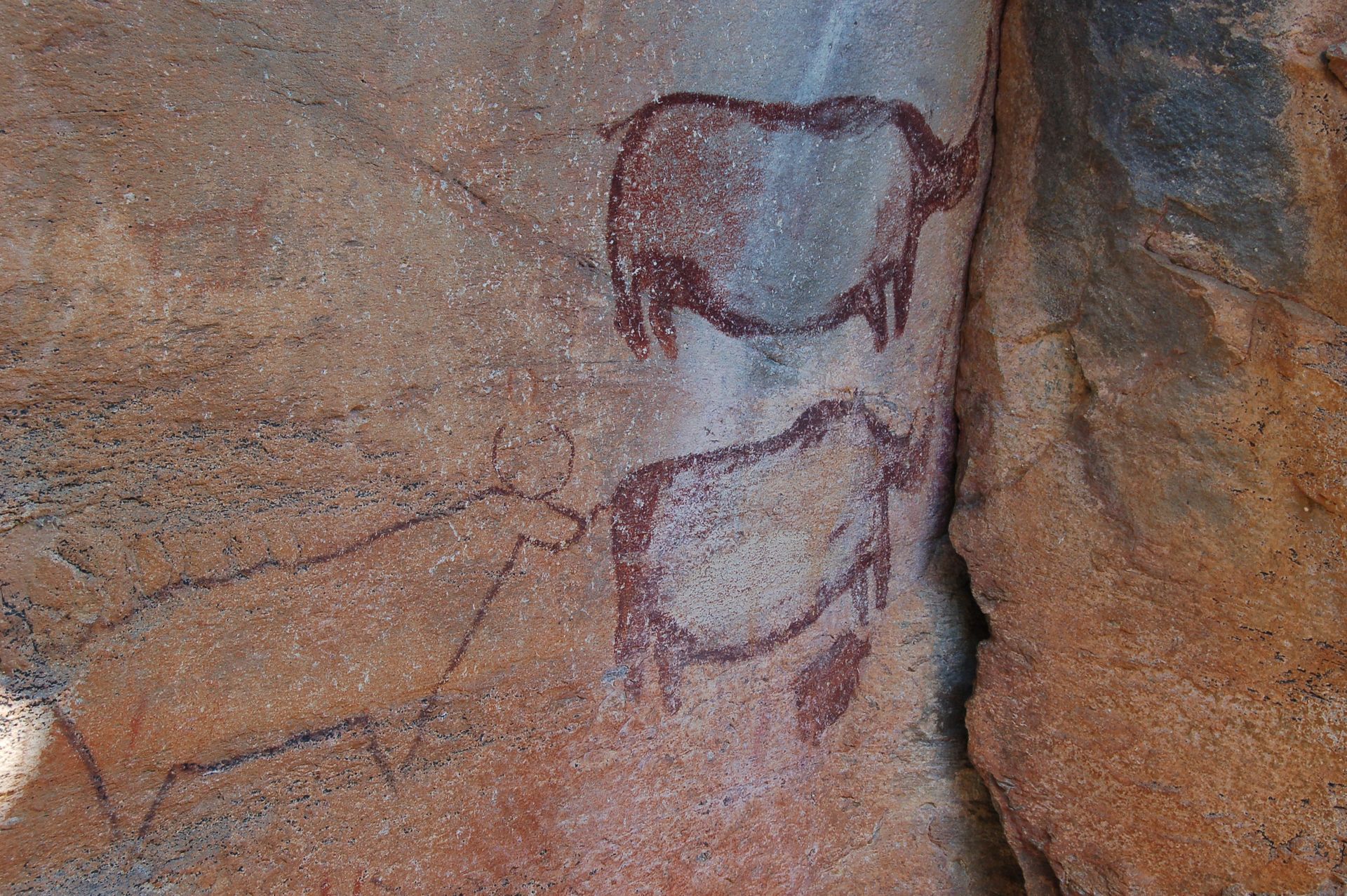 Picture of Tsodilo Hills, Botswana 