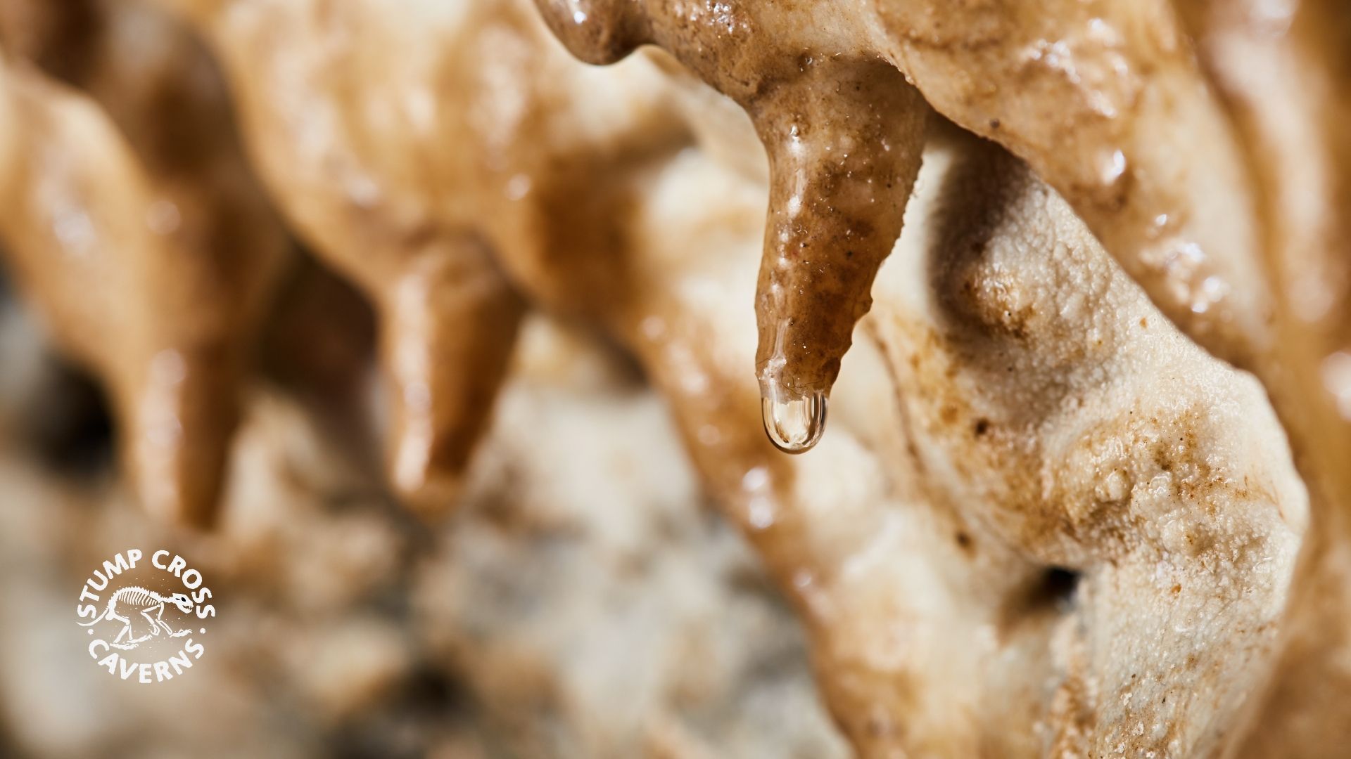 What+are+cave+pearls+(And+14+more+unusual+cave+formations)-1920w.jpg