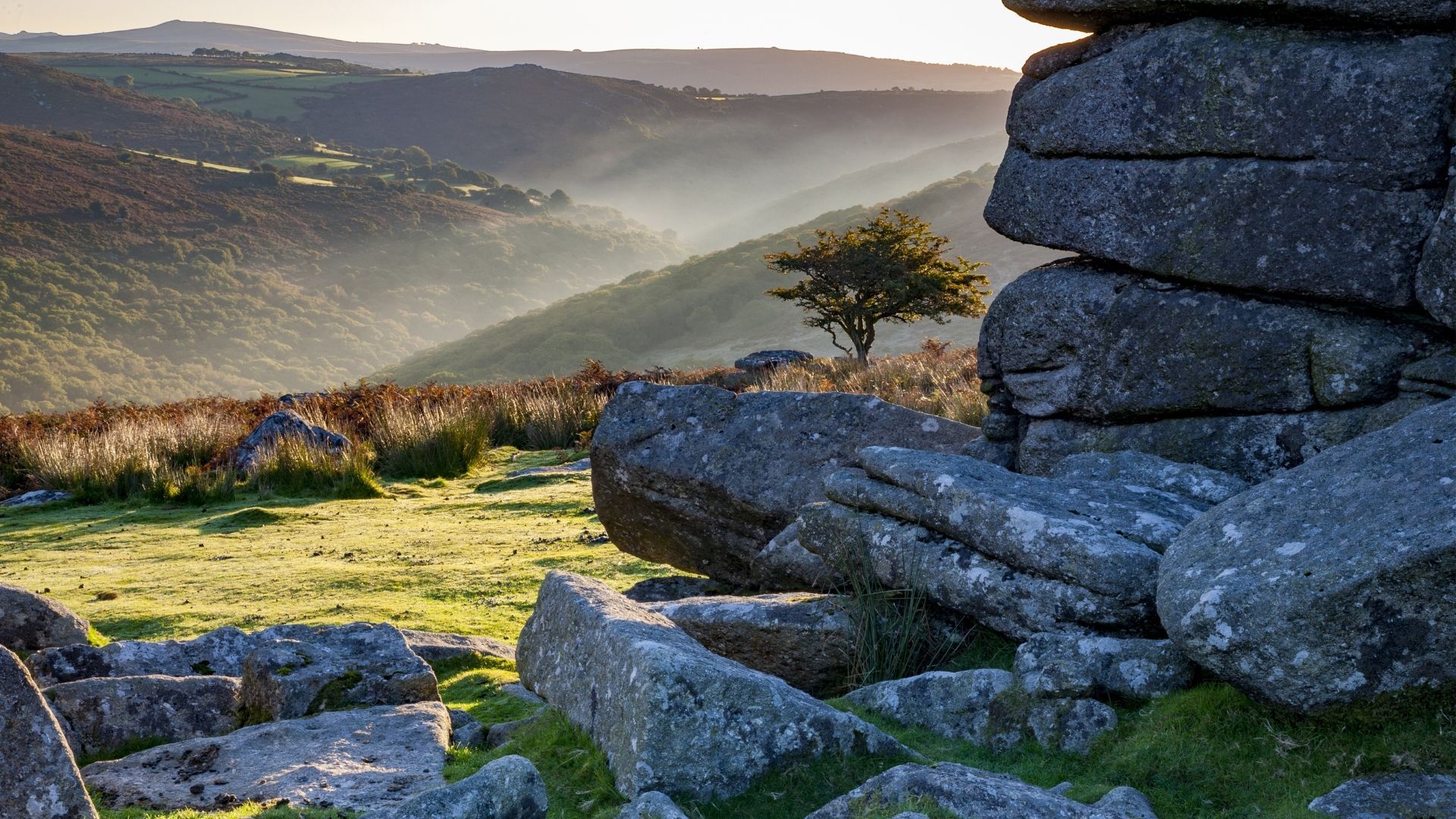 Sites of Special Scientific Interest are natural areas with special legal protection. Learn more