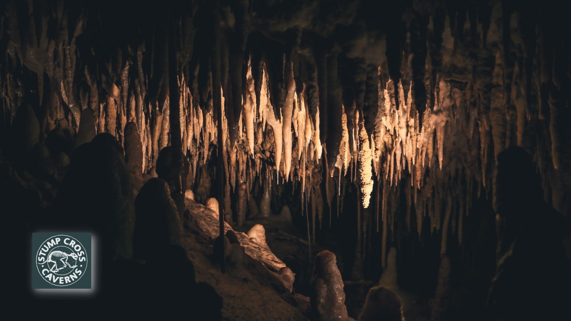 We've got more than our fair share of stalactites and stalagmites at Stump Cross Caverns. But why do they look like that? Find out in our fact pack.