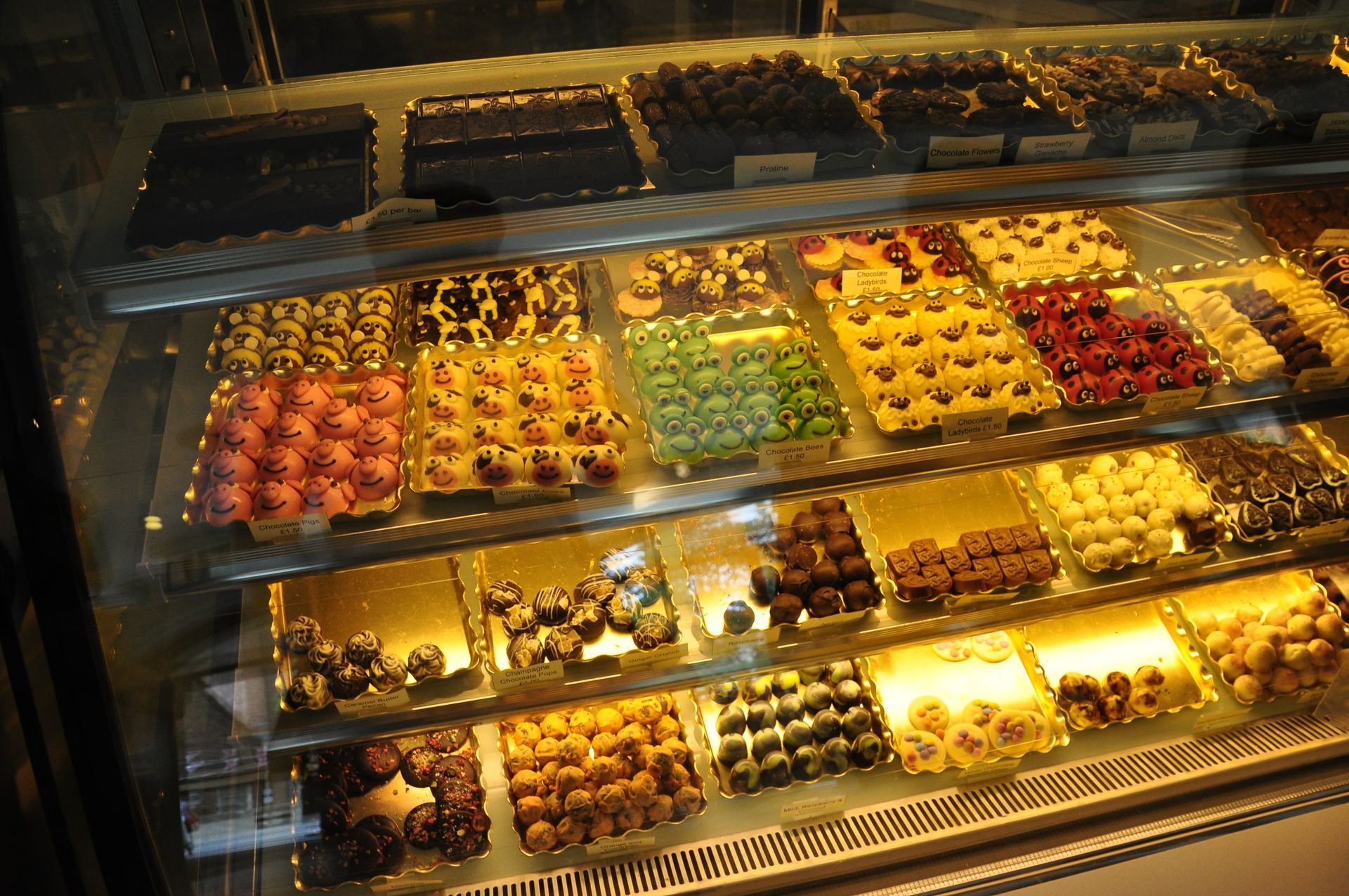 Picture of chocolates at York's Chocolate Story