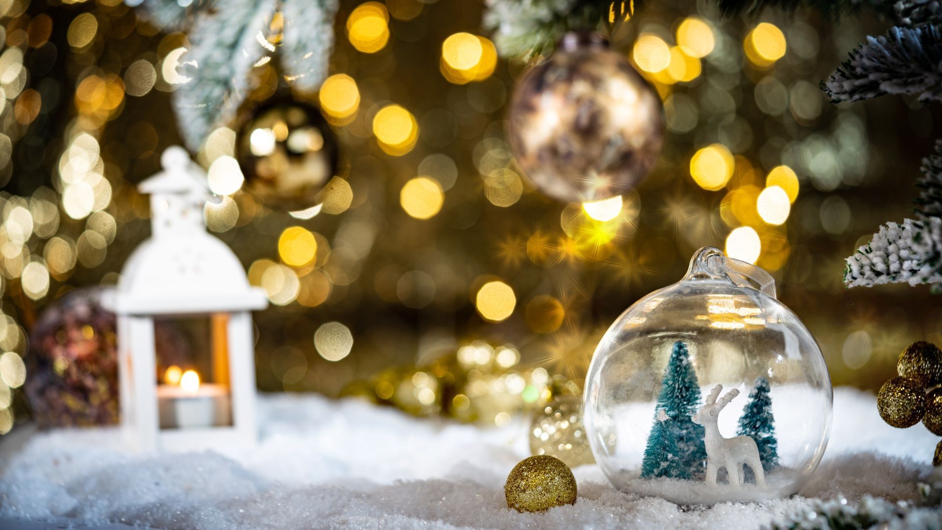 Wondering how to spend Yuletide in Yorkshire? We've got you covered. Explore 8 festive options today