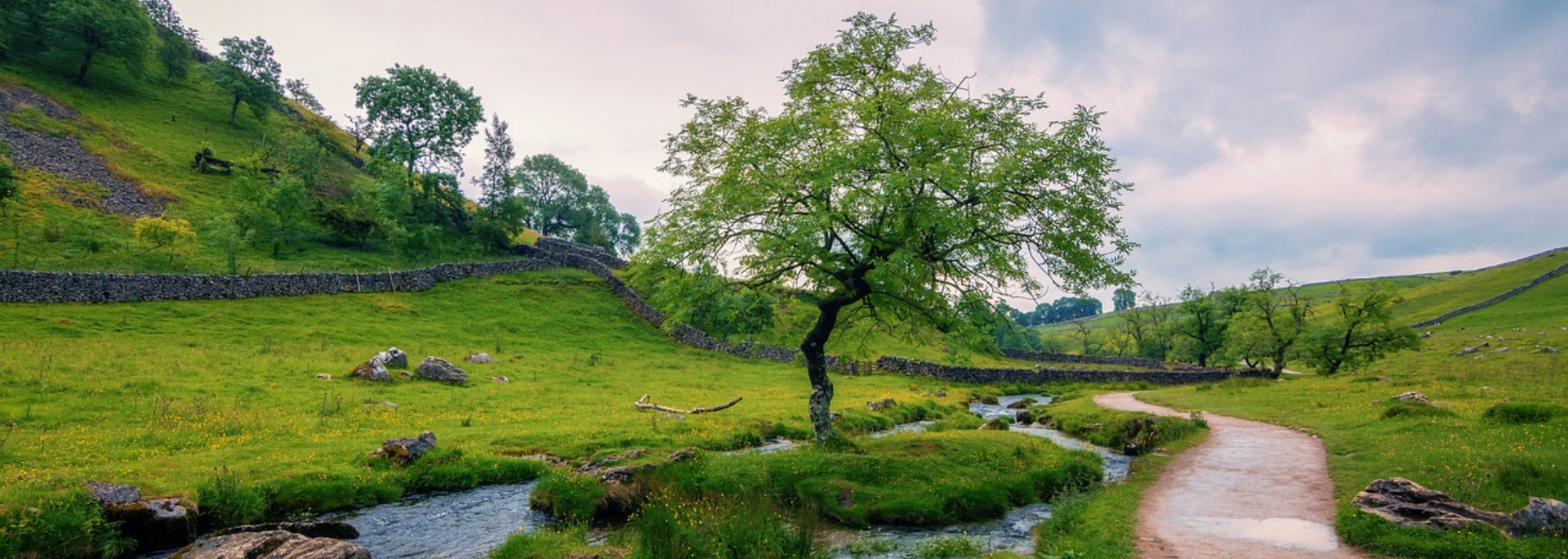 Picture of Yorkshire Dales National Park.