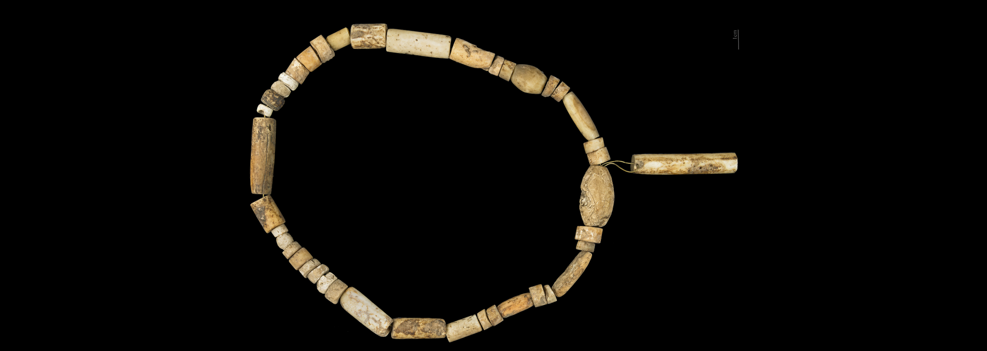 Picture of  an example of Stone Age bone jewellery.