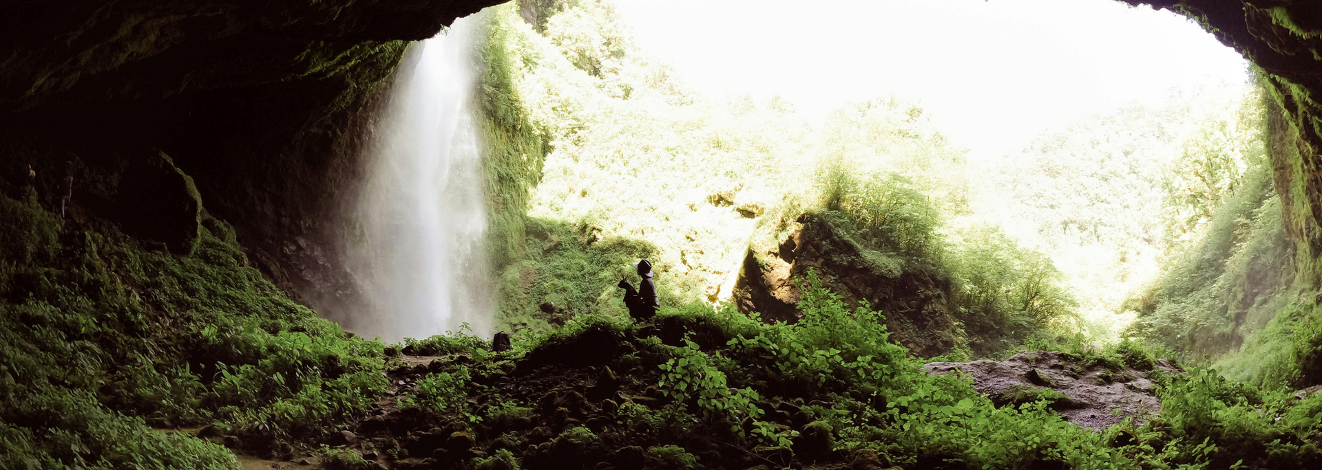 Picture of plants growing in sunlight at a cave mouth.