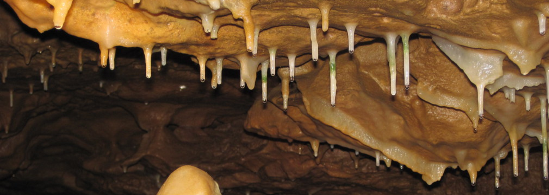 Picture of a drip on a stalagmite.