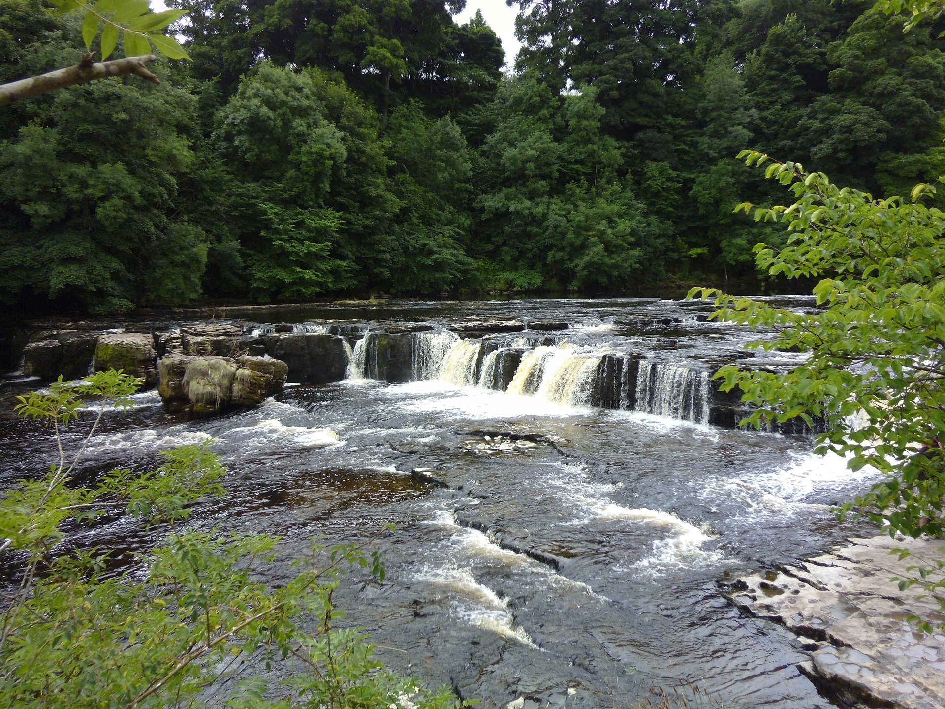 Picture of Aysgarth Falls.