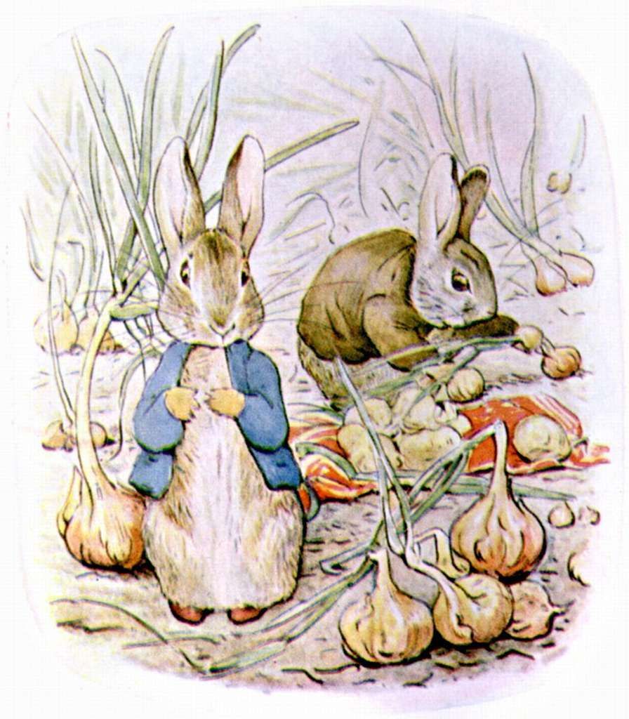 Picture of the Peter Rabbit and Benjamin Bunny
