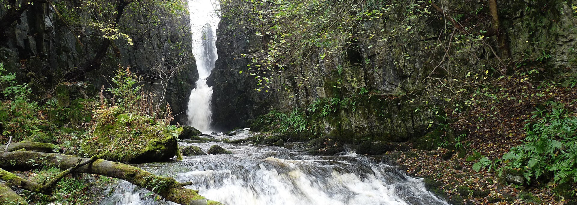 Picture of Catrigg Force.