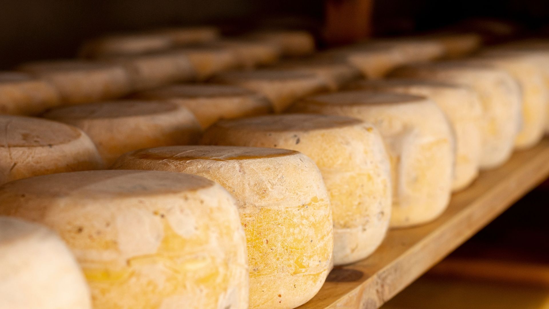 Join us as we trace the history of cheese and ask: why do people leave cheese in caves, anyway?
