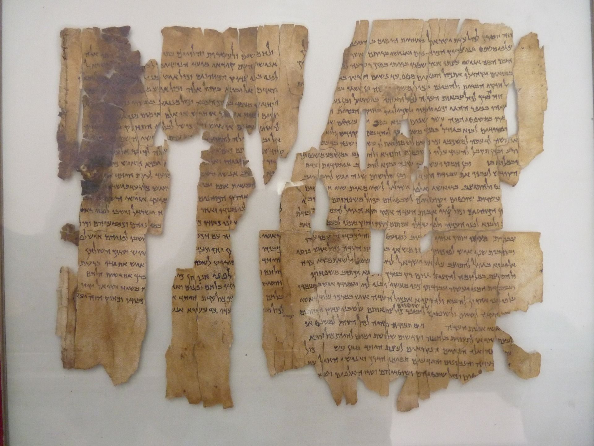 Picture of the Dead Sea Scrolls