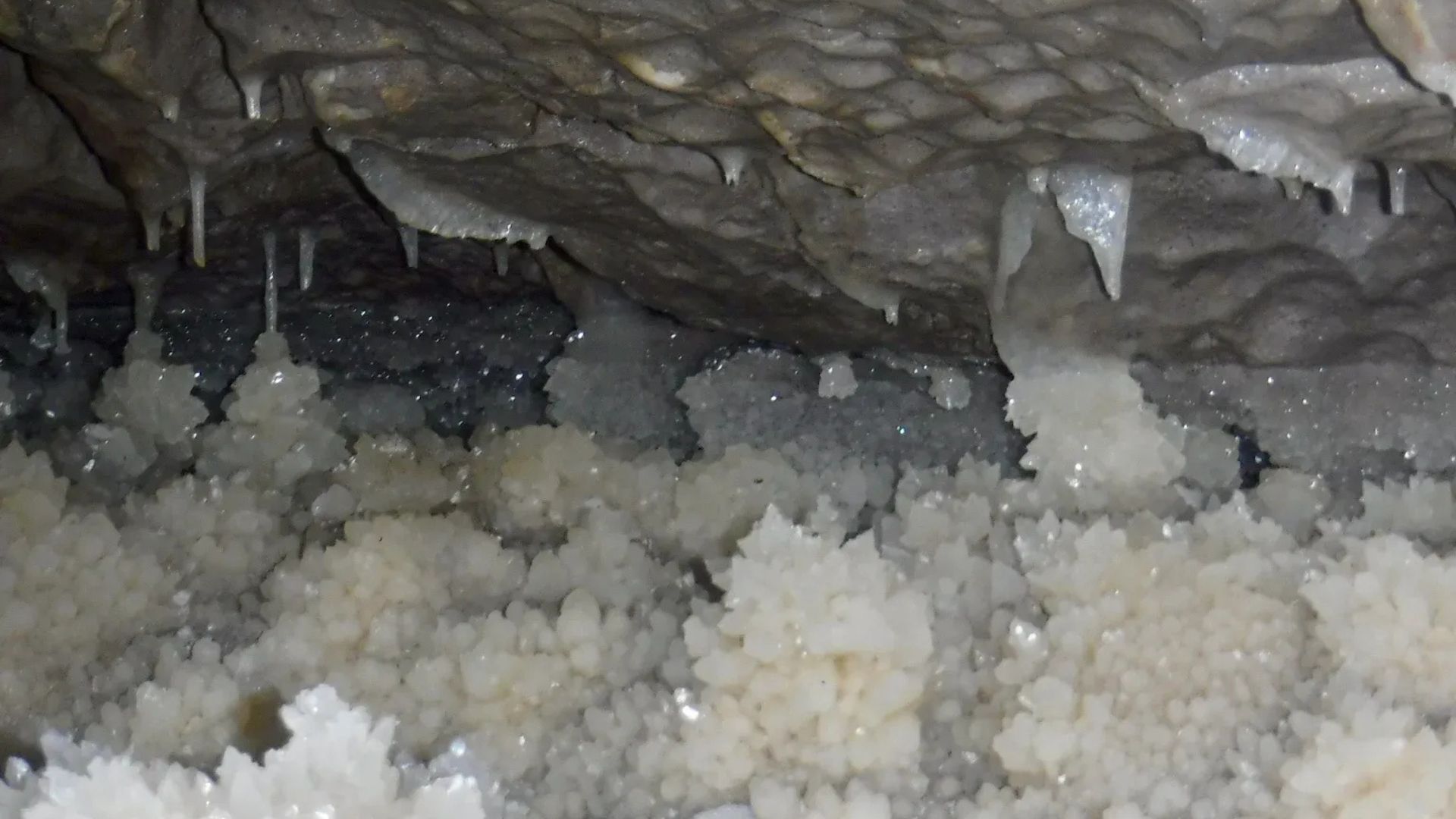 Here at Stump Cross Caverns, there are plenty of chambers and passageways behind the show cave. Learn about one of the finest: Grenade Shaft. Here at Stump Cross Caverns, there are plenty of chambers and passageways behind the show cave. Learn about one of the finest: Grenade Shaft.