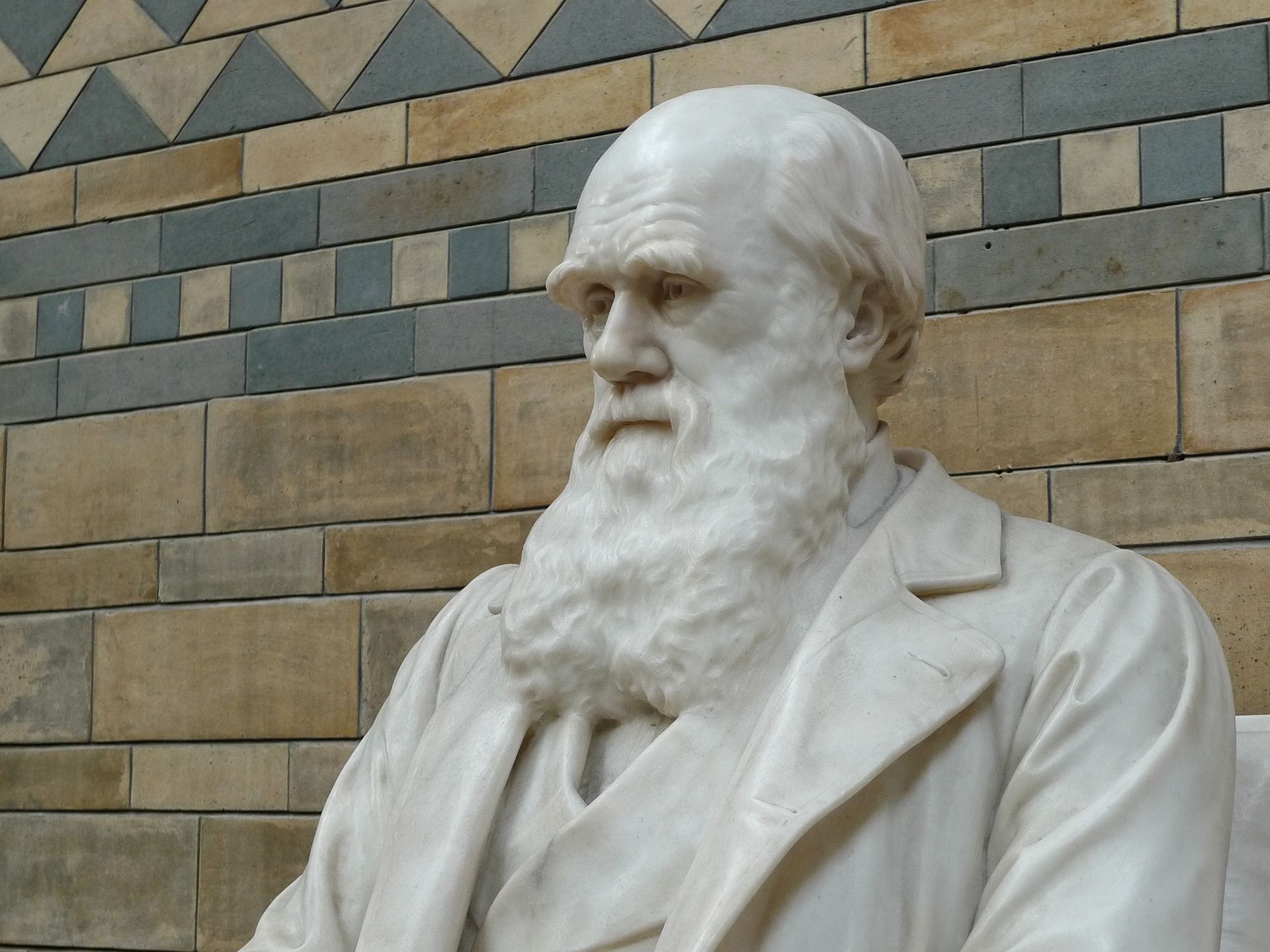 Picture of famous Charles Darwin statue.