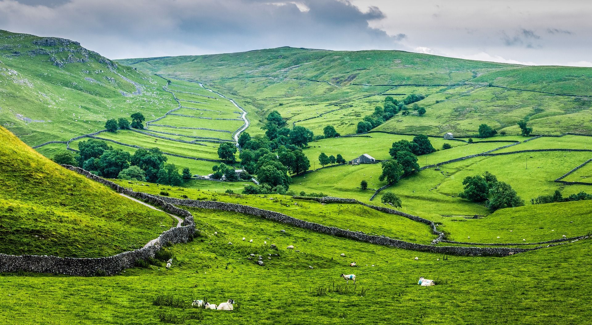 Picture of the Dales