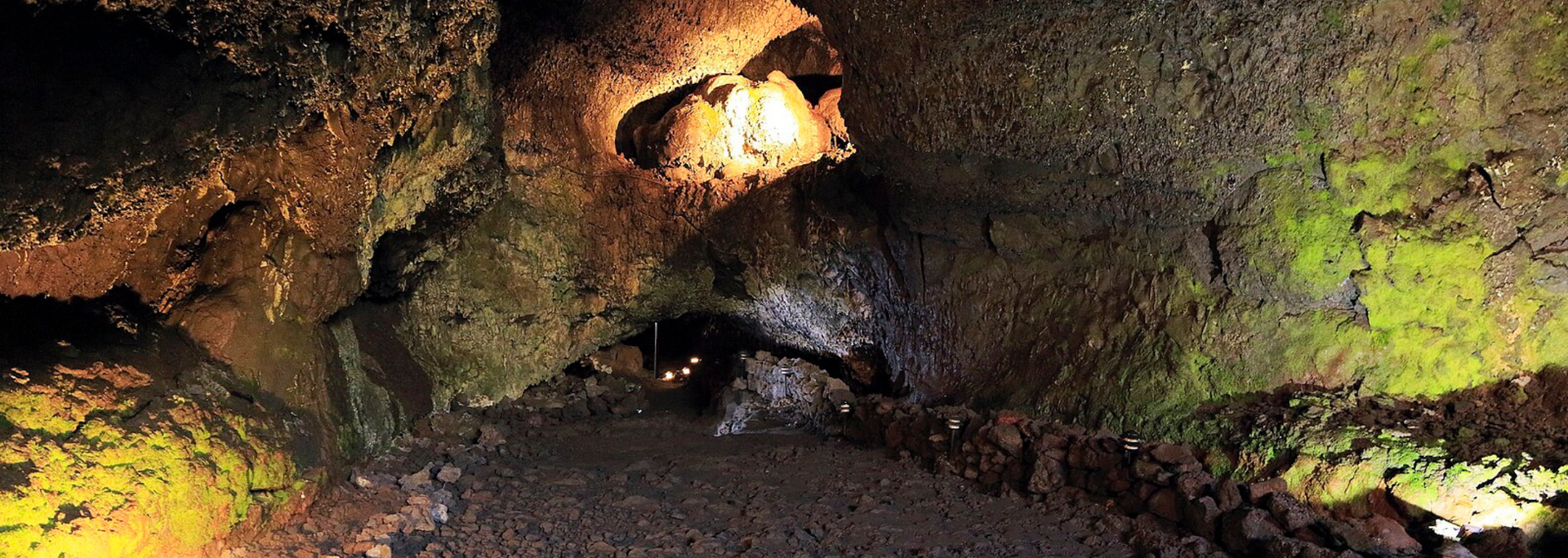 Picture of lampenflora on cave walls.