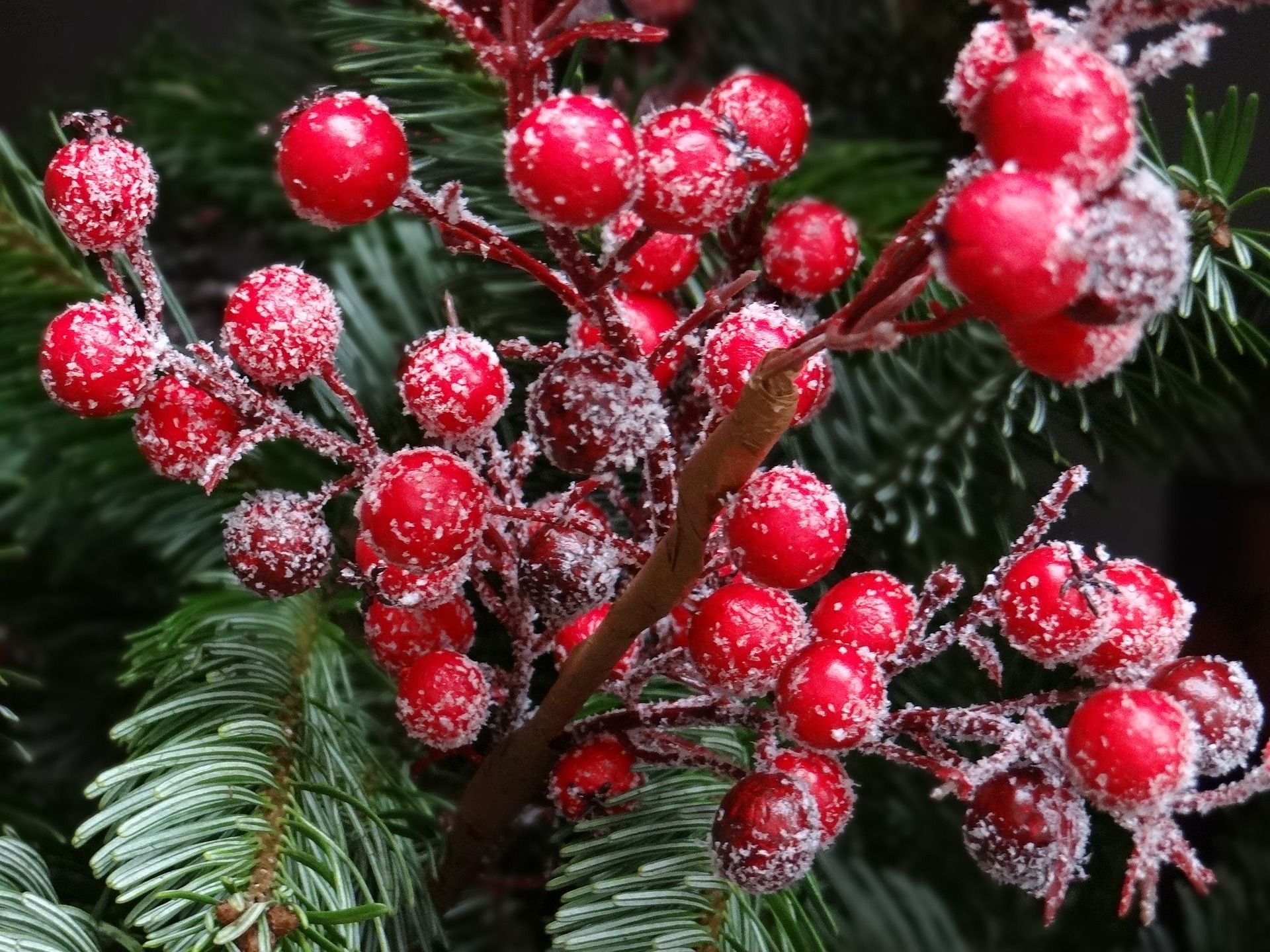 Looking for Christmas events in Yorkshire? Head to Stump Cross Caverns in the Yorkshire Dales for a programme of family-friendly festive fun.
