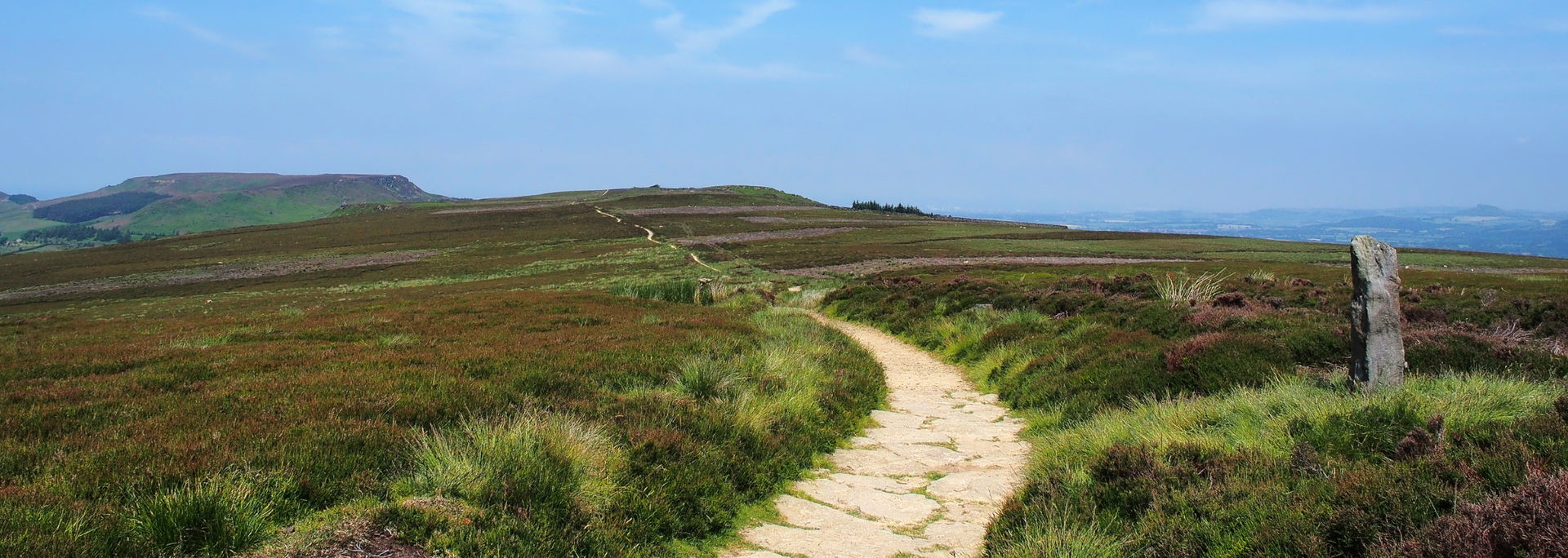 Picture of The North York Moors. 