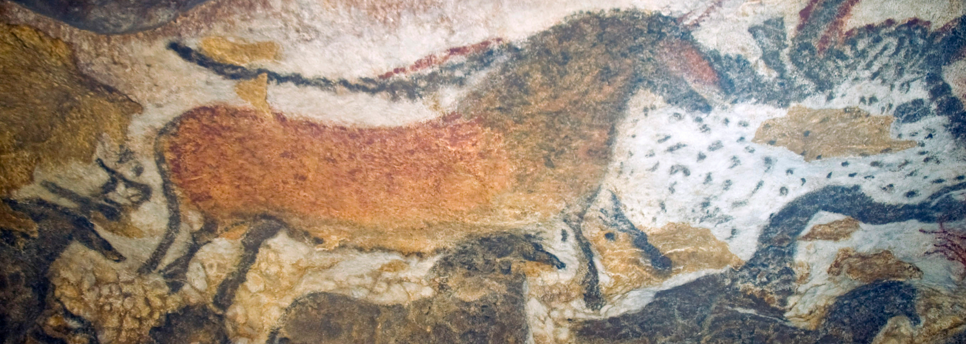 Picture of the paintings at Lascaux. Picture of the paintings at Lascaux.
