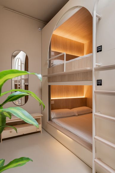 Habitación moderna con literas, iluminación cálida de madera, escalera blanca y una planta en primer plano.