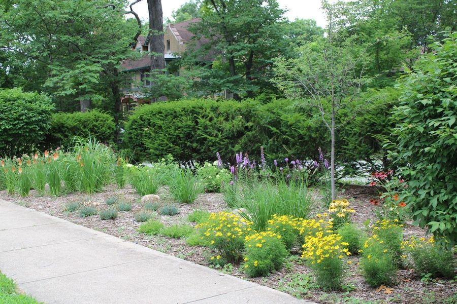 Garden bed with colorful flowers, shrubs, and trees along a sidewalk in front of a house.