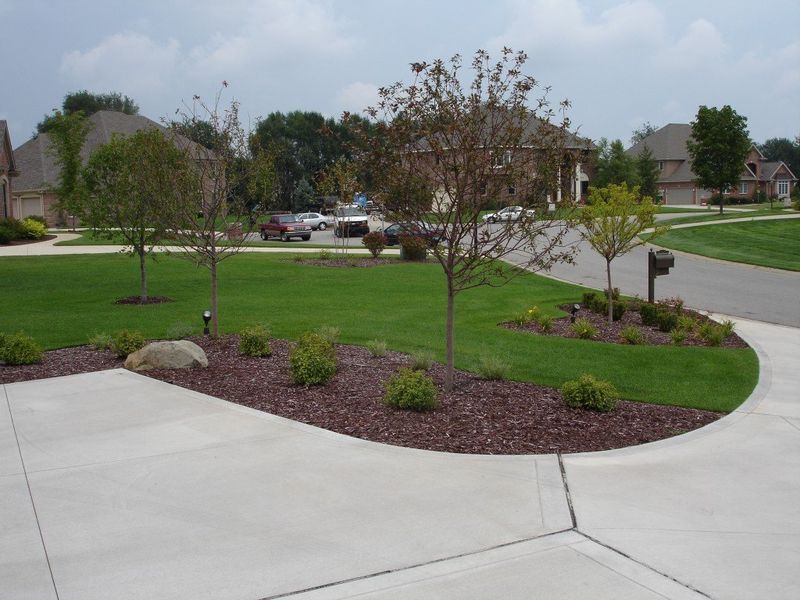 Curved driveway with landscaped beds, small trees, green grass, and houses in the background.