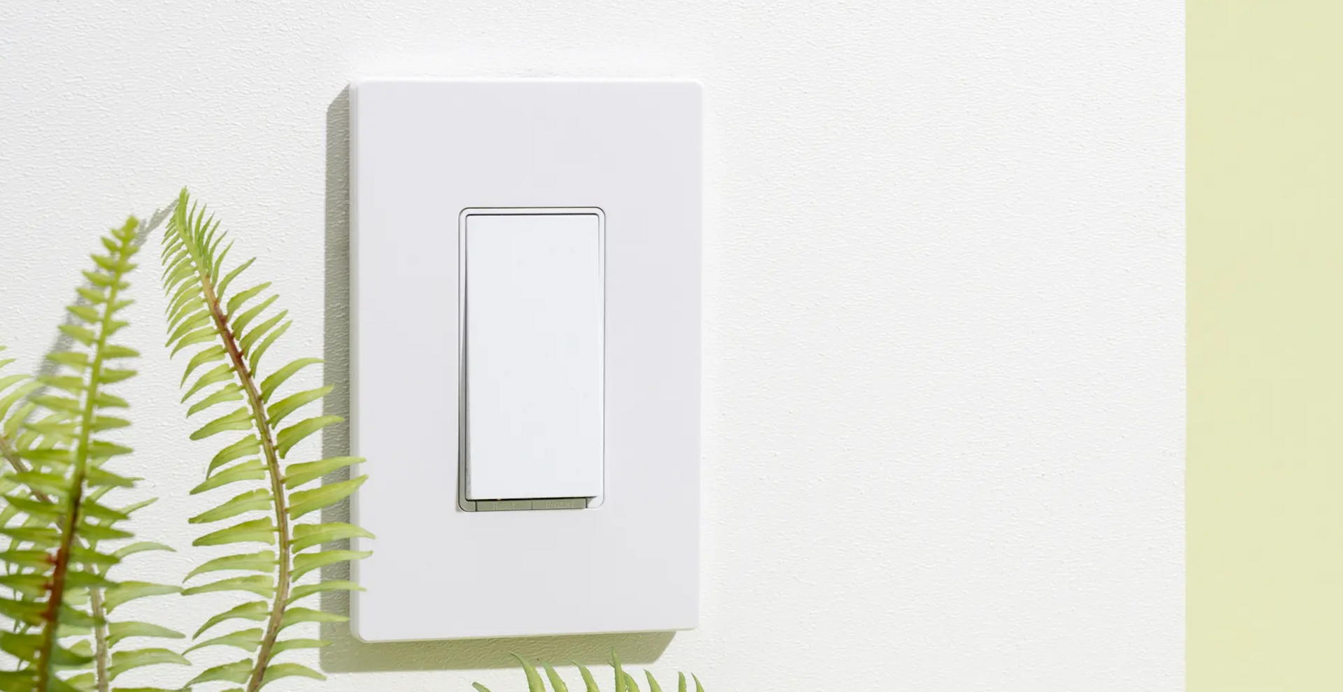 A white light switch is sitting on a white wall next to a plant.