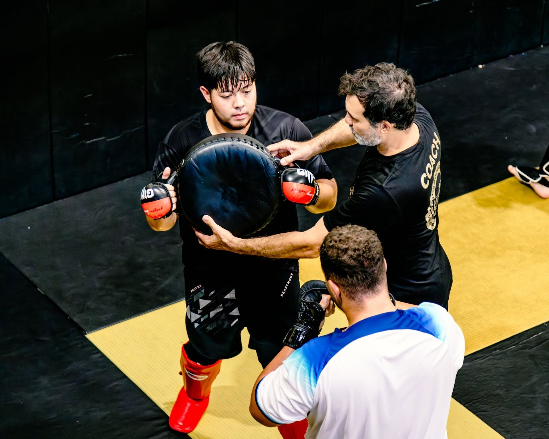 Elvis Sinosic Teaching MMA Class