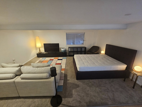 A living room with a bed , couch , television and rug.