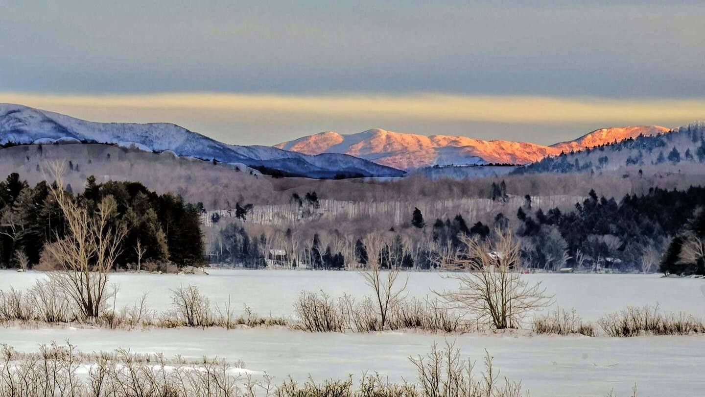 A snowy field with mountains in the background and trees in the foreground.