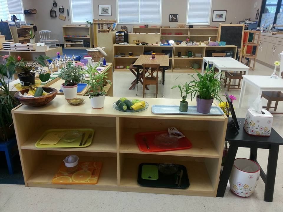 Montessori School | Milton, GA | (770) 754-0777