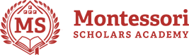 Montessori Scholars Academy Logo