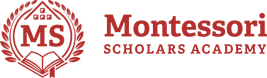 Montessori Scholars Academy Logo