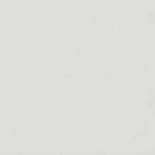 A close up of a white background with a plain texture.