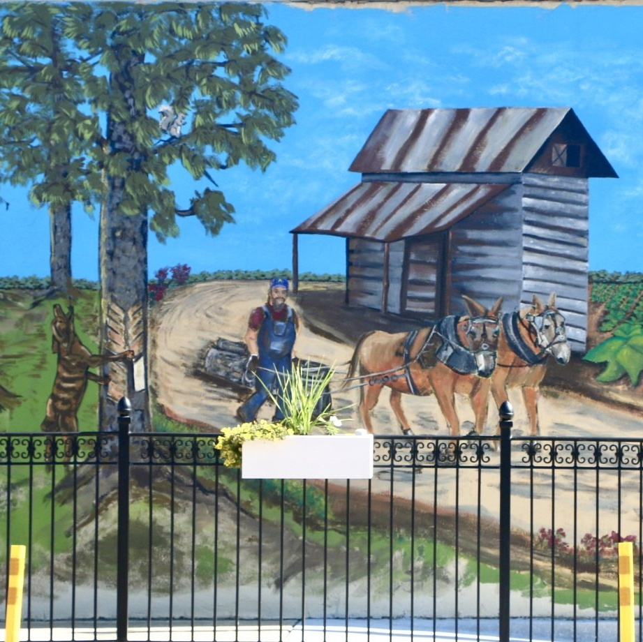 Mural of a tobacco farm with mules and pine trees by Elyse Johnson in downtown Angier, North Carolina