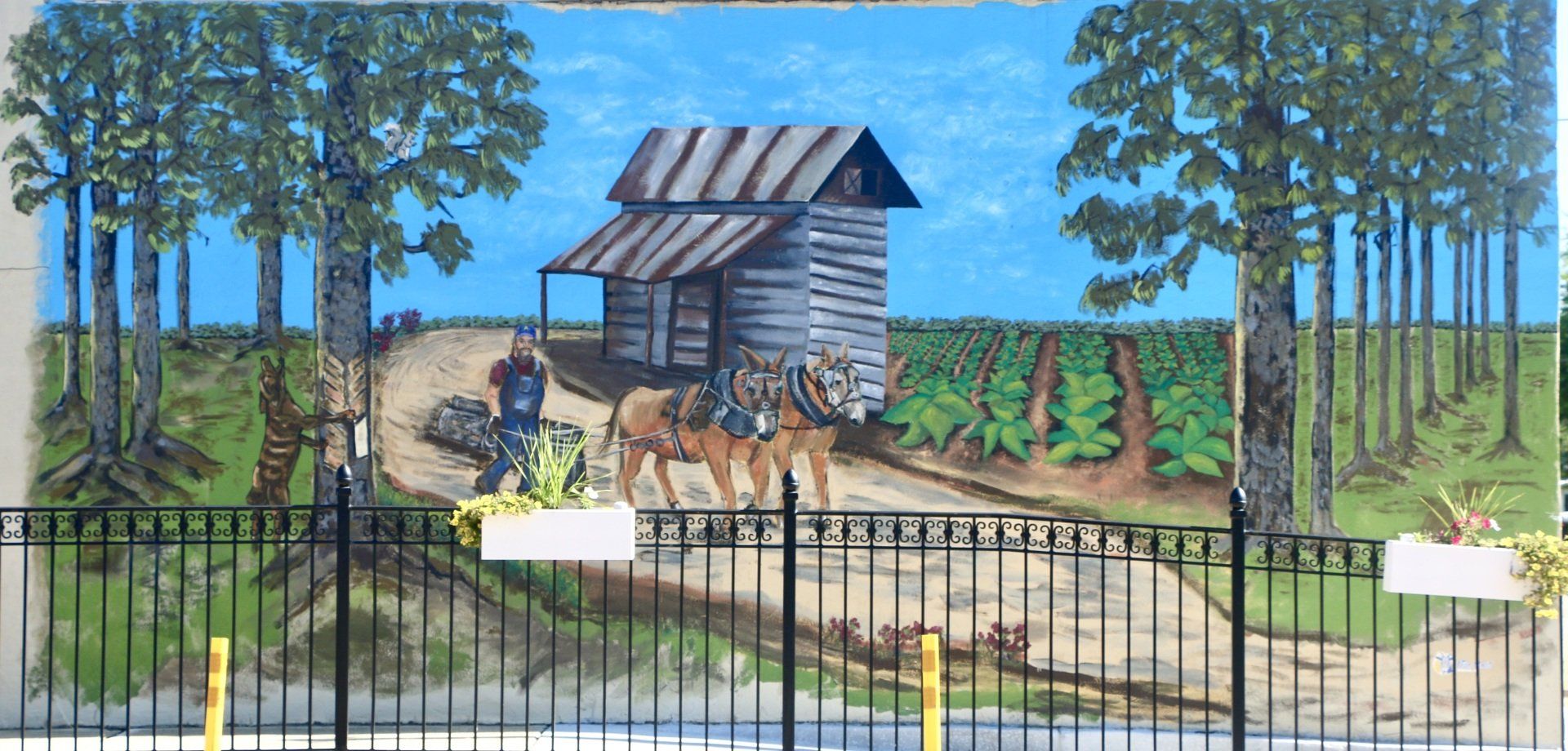 Picture of a mural containing pine trees, a log cabin, a farmer, and a pair of mules located in Angier, North Carolina