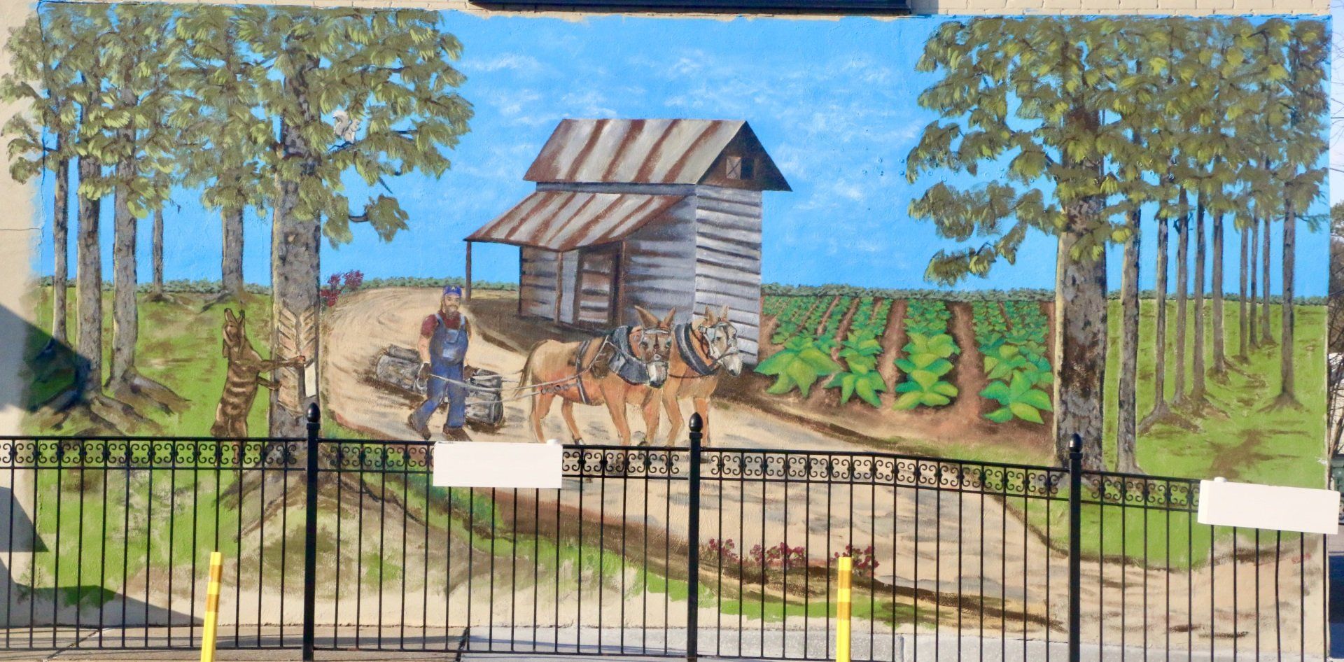 Mural of mules, farmer, tobacco farm, and pine trees in downtown Angier, North Carolina by Elyse Johnson