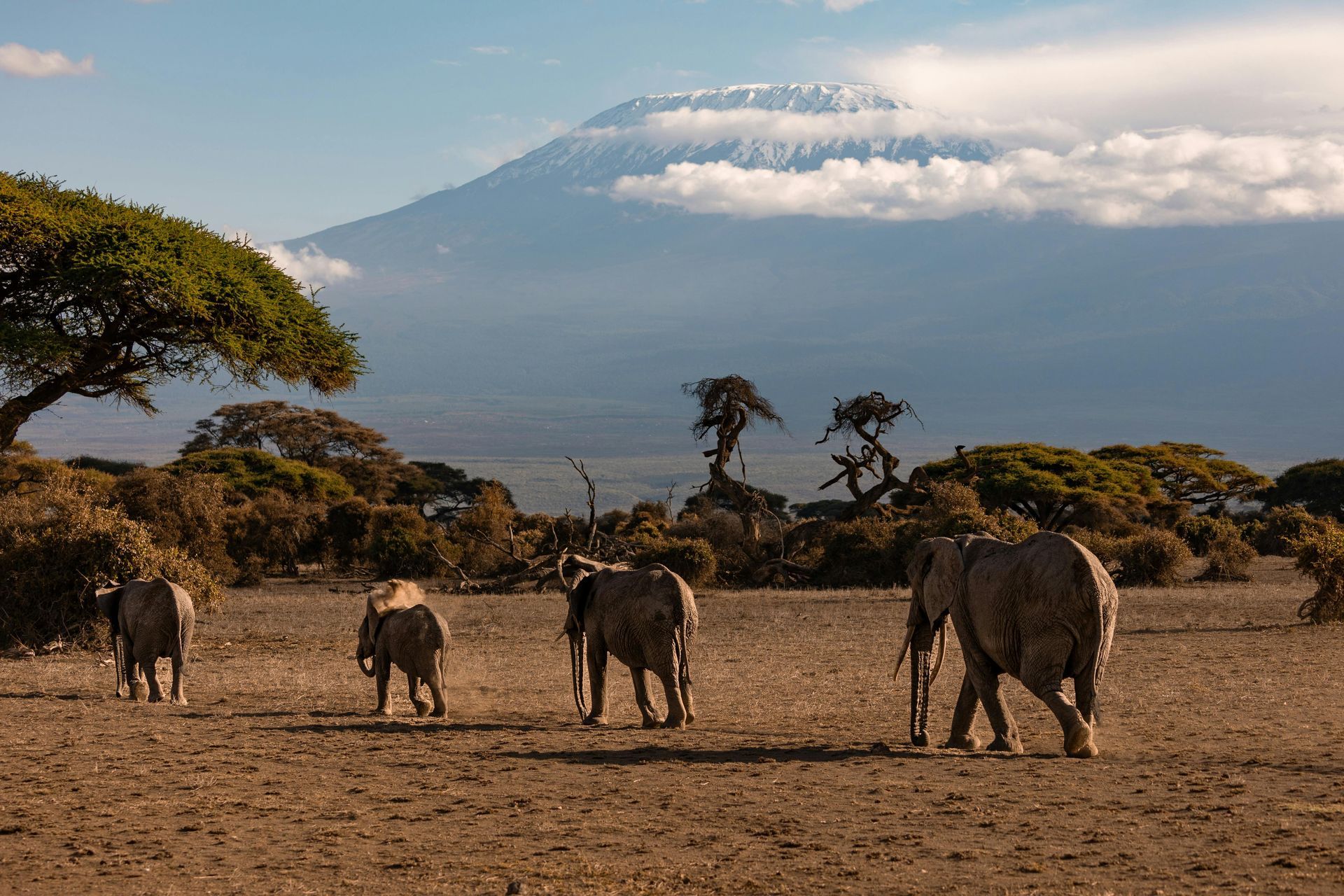 Trouw reis naar Tanzania - Capture that elopement 