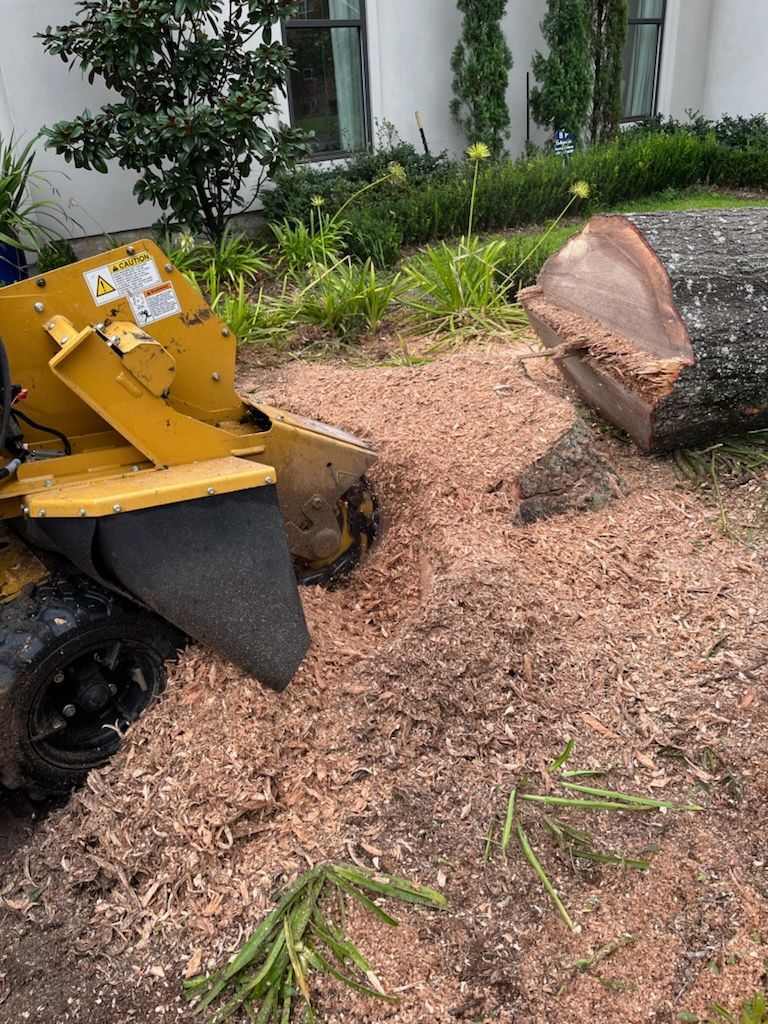 A stump grinder is cutting a large tree stump in a yard.