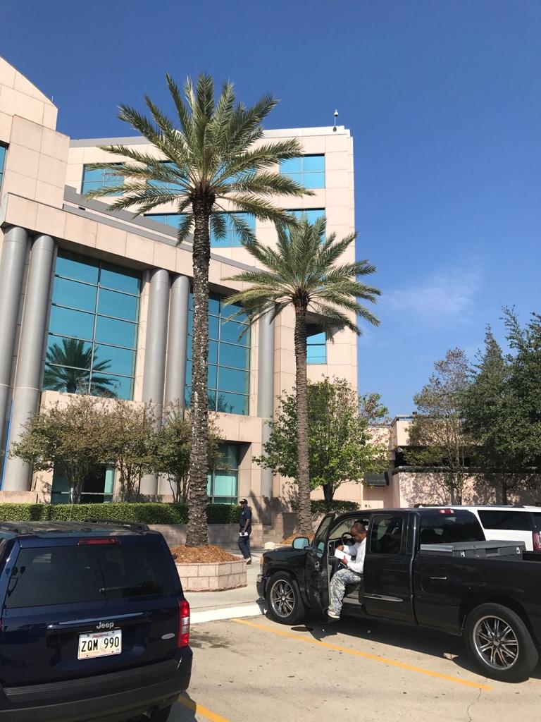 A man is sitting in a truck in front of a building with palm trees