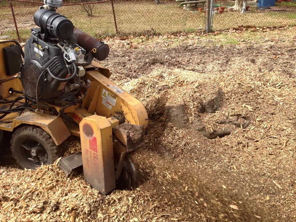 A stump grinder is being used to remove a tree stump